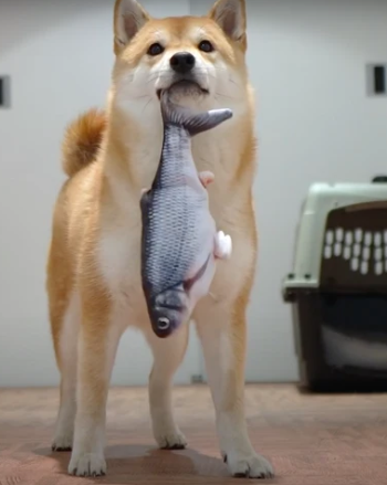 Flopping Fish Toy